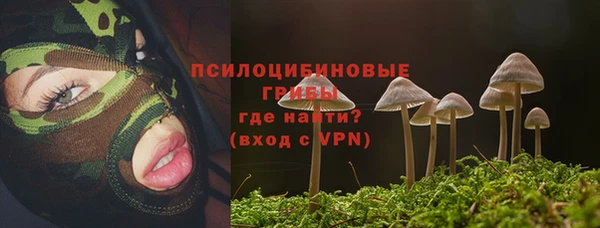 скорость Горняк