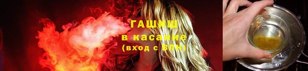 apvp Белая Холуница