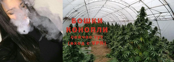 прущие крисы Вязьма