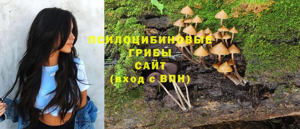 каннабис Горно-Алтайск