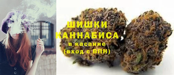 бошки Гусев