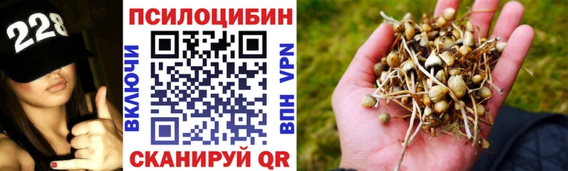 Псилоцибиновые грибы MAGIC MUSHROOMS  mega ТОР  Джанкой  наркота 